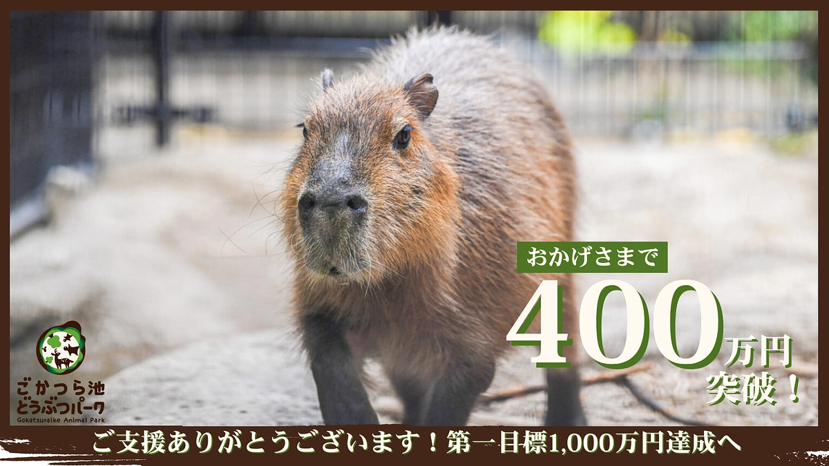 目標金額の40％を達成しました！！