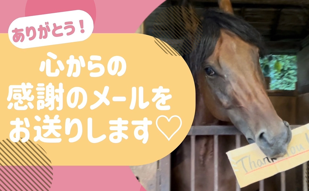 『お礼のメール』5000円