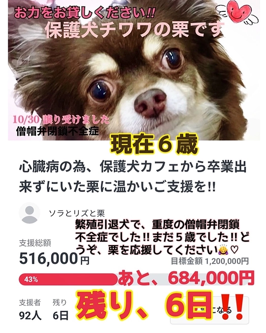 2024/1/22　クラウドファンディング残り６日　達成率４２％　となります。