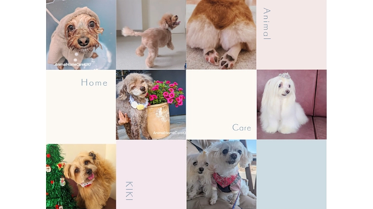 介護シニア専門のトリミングサロン 予約枠拡大のため内装工事費 4枚目