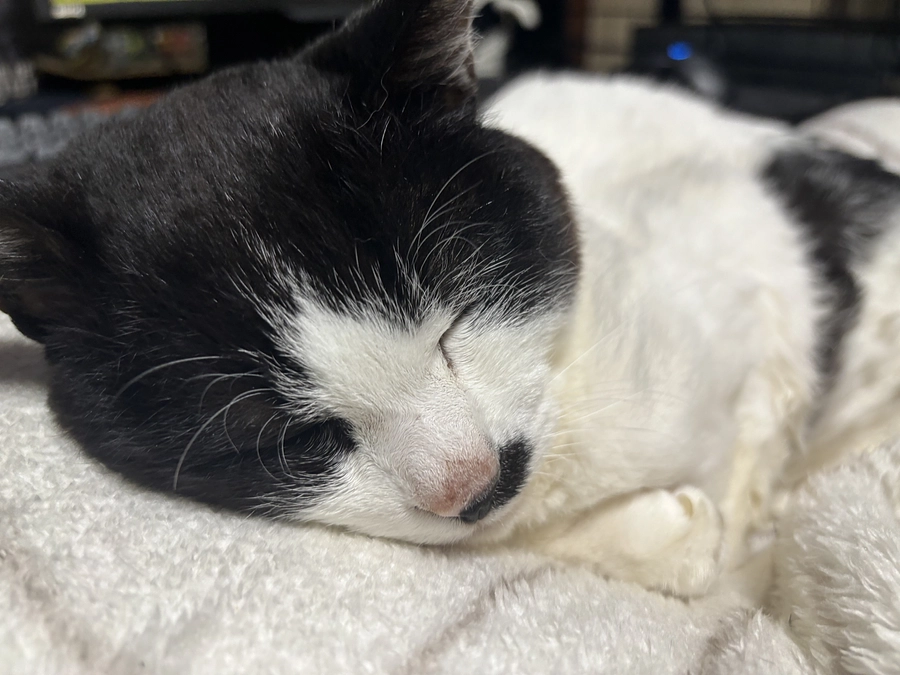 活動報告について