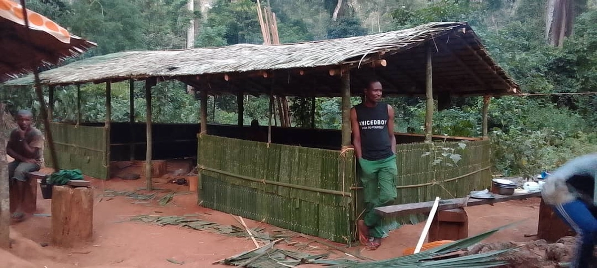 立派にリニューアルされたポン・カッセのガードポスト🏕️🐘🦍