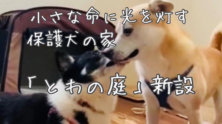 人知れず消えていく命を輝かせる保護犬施設「とわの庭」新設！