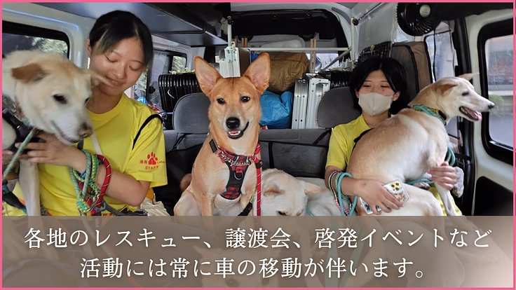 絶望の淵に立つ野犬を救い続けたい！壊れた大型車両の更新にご支援を 4枚目