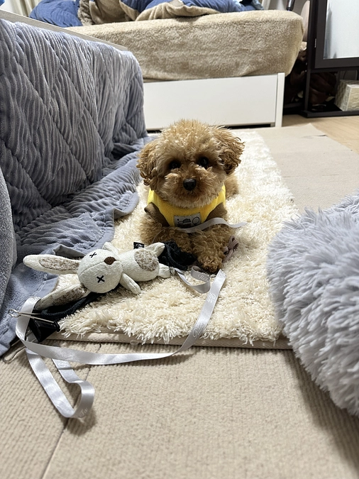 無事達成で終われました。