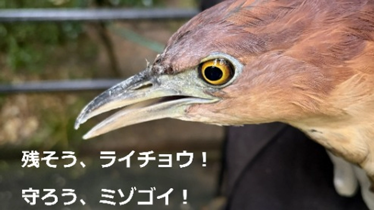 本日は休園日でした。パークの仲間紹介①