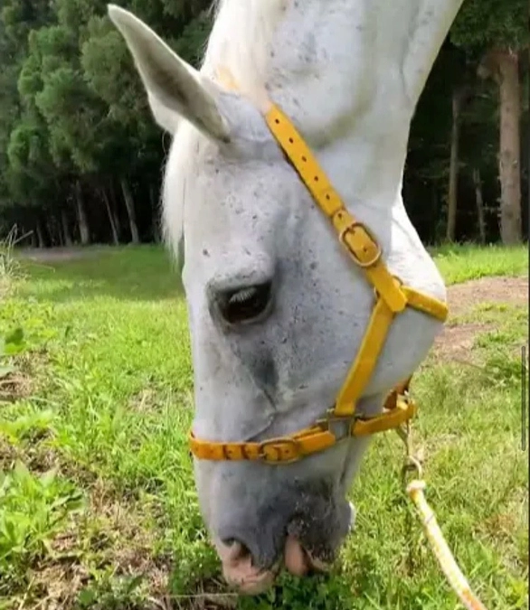 7月2日はロンのお誕生日でした！