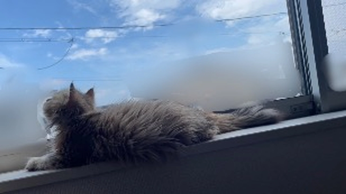 むぎ，筋肉が増えてるね💪