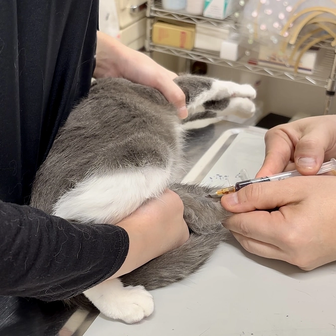 年内最後の経過観察