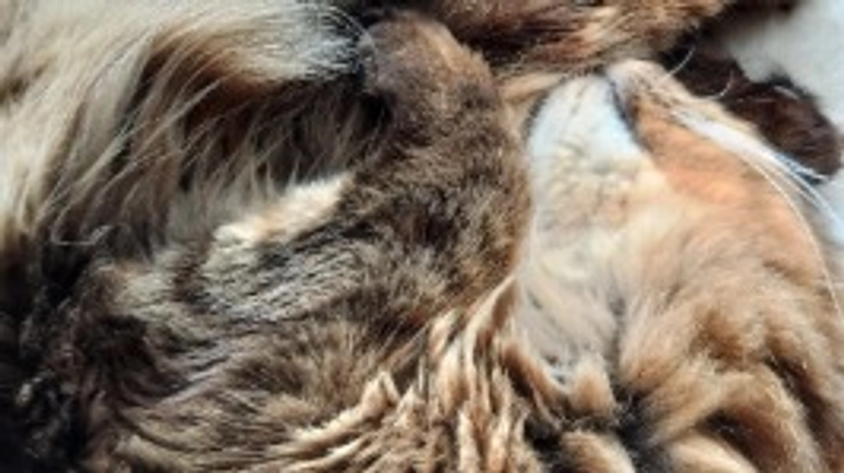 病院の検査結果のご報告です。