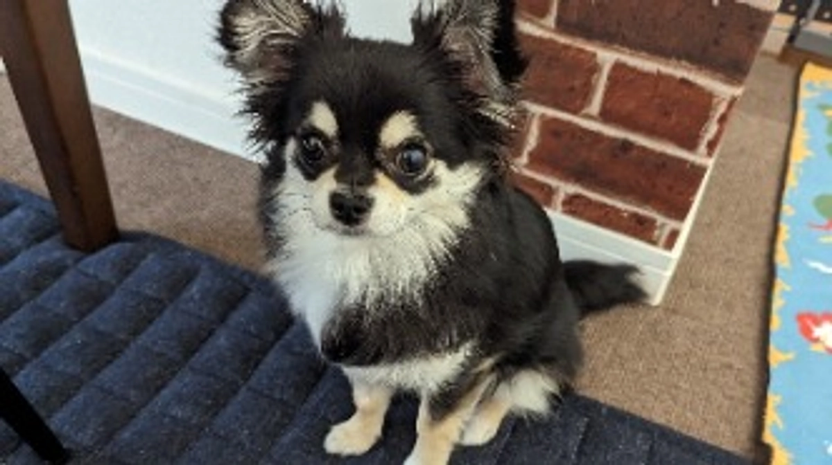 今日もしっかりお薬飲んでます✨