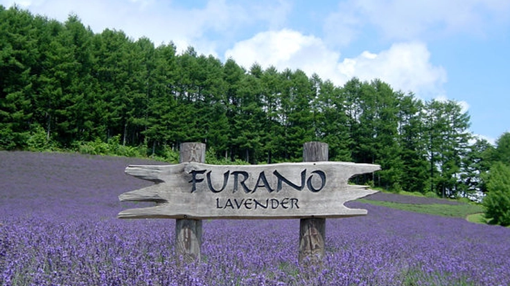 子供からお年寄りまで気軽に集えるコミュニティカフェを富良野に