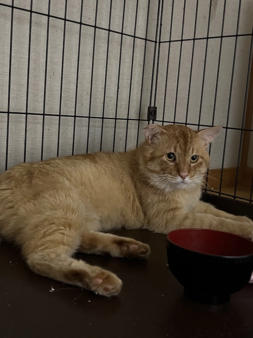 プロジェクトが90%を超えました！