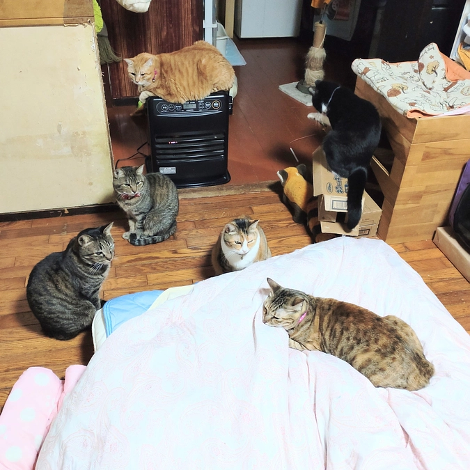 ヒーター近くは大渋滞😅