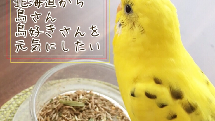 "とりきち横丁"第1号店オープン!鳥さんたちが暮らしやすい社会を