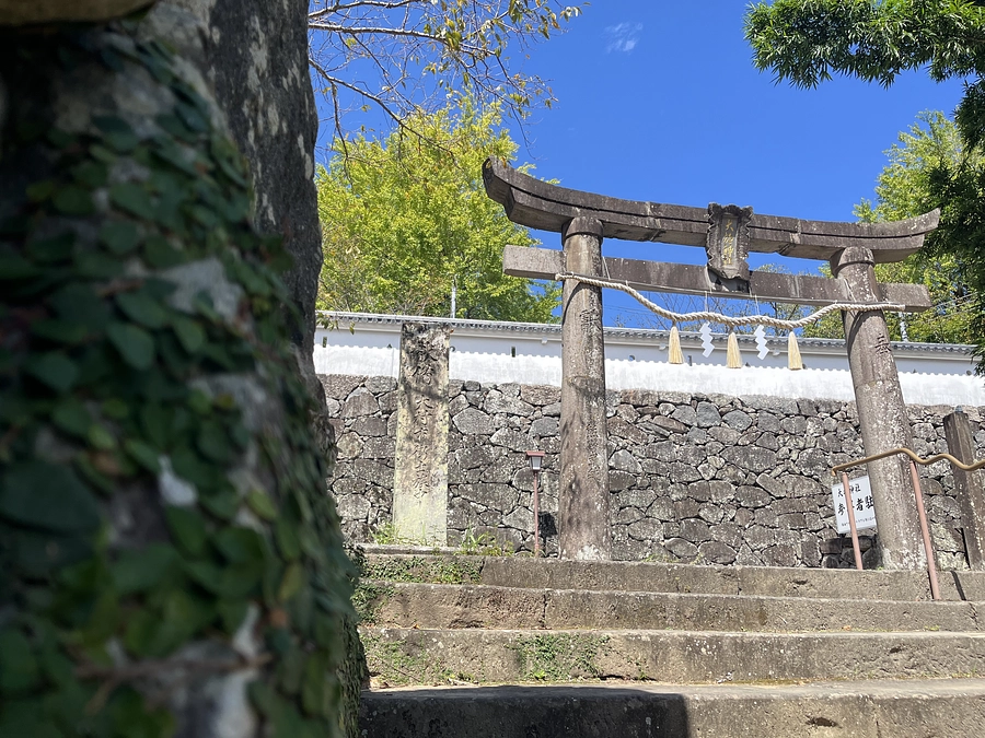 【終了御礼】たくさんのご支援ありがとうございました！