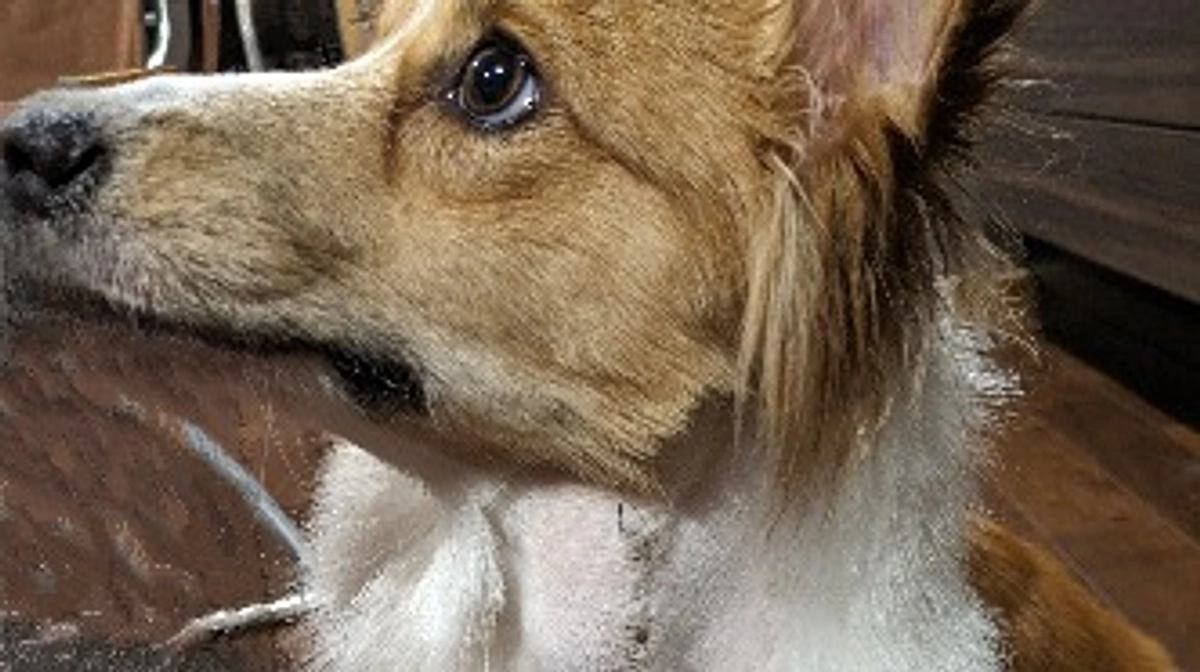 臨時で通院してきました。