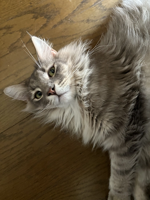 ⏰終了まで残り3日⏰あと57,000円が必要です😭