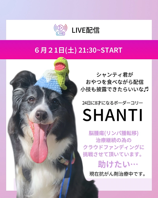 本日21:30よりインスライブ配信