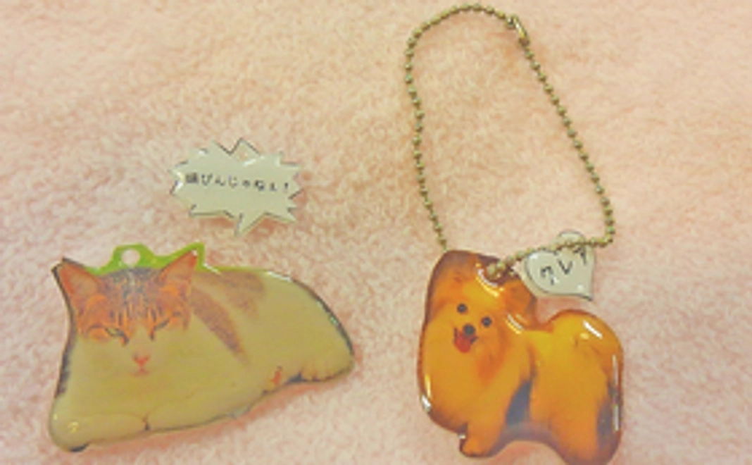 オリジナルプラ版ストラップ(キーホルダー) ＆ サンクスレター