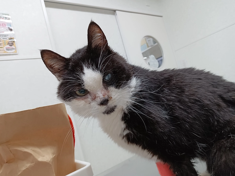 術後2日目。今日はすこししんどいかな？