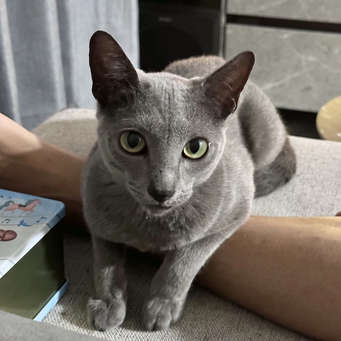 【残り5️⃣日💦】投薬77日目