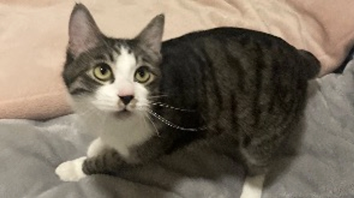 カノアの育ての親。