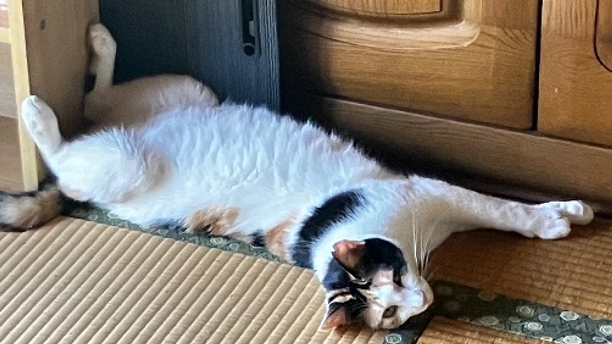 エアコン稼働しています！