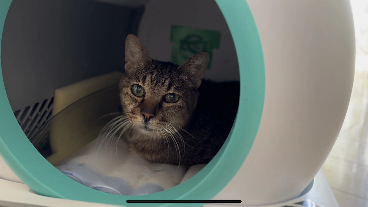 ジョーくんを思ってくださる皆様へ