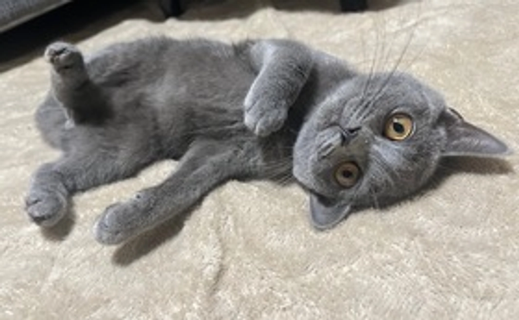 うなちゃん感謝のメール＋写真画像1枚