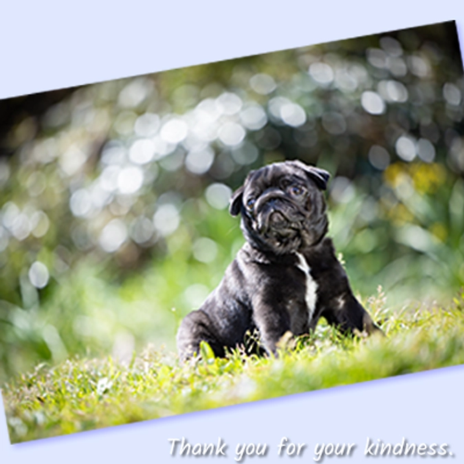 お礼とお知らせ