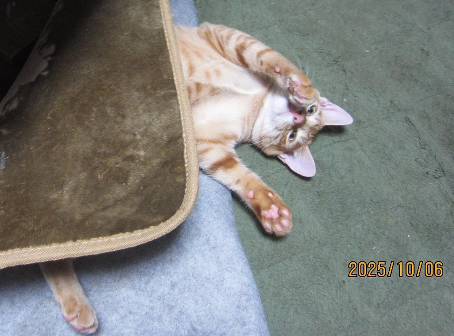 【今朝の一枚】おはようございます！