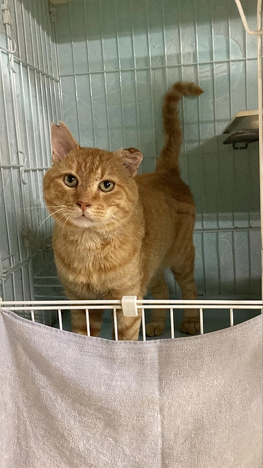 新入さんのご紹介