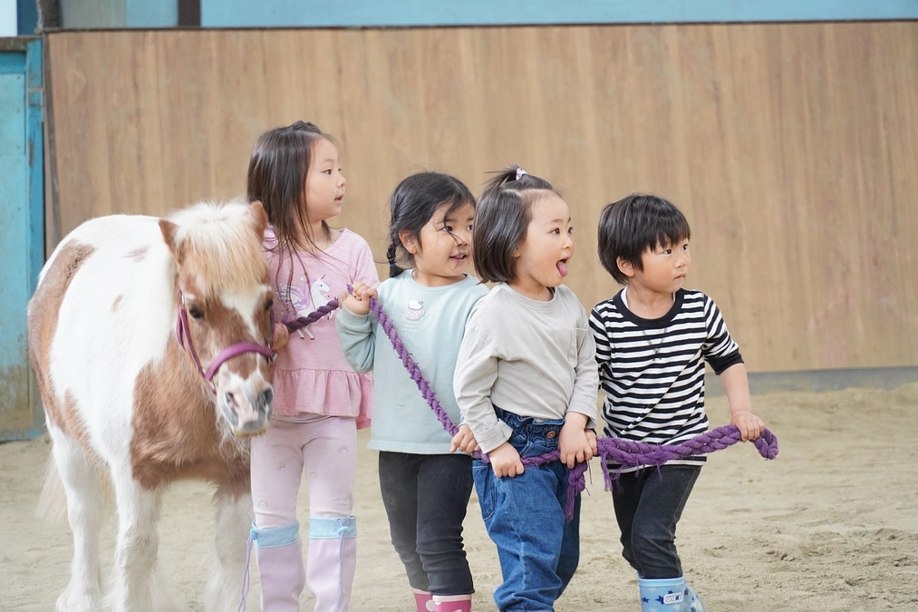 ポニーの可能性は無限大♾️