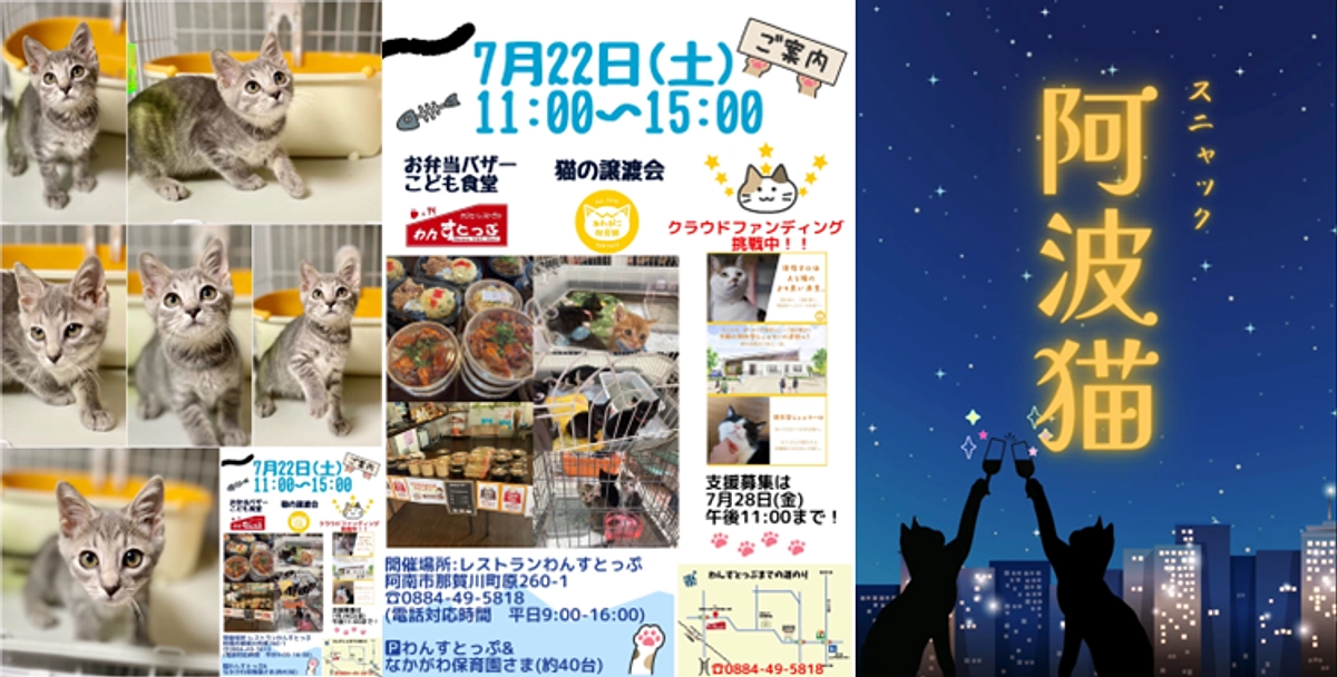 TNRの重要性　／　週末の譲渡会等ご案内   