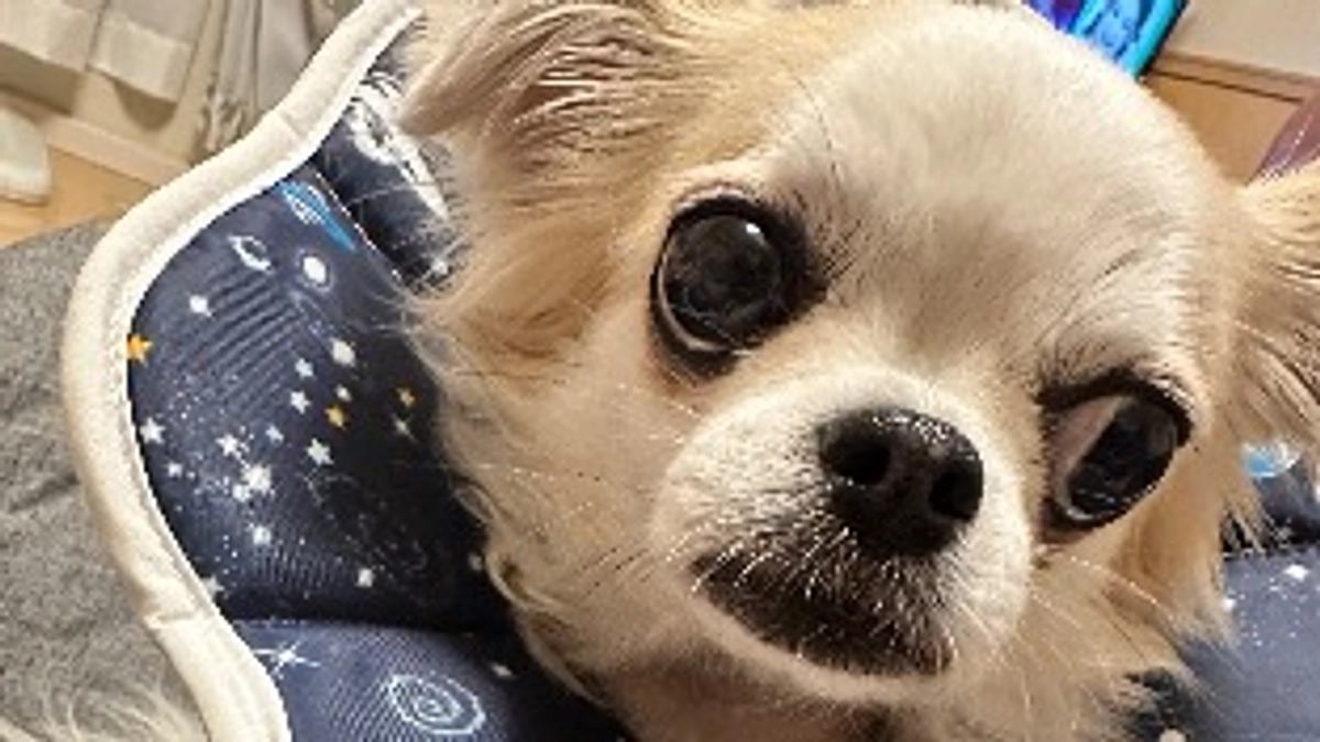 1/11退院しました㊗️