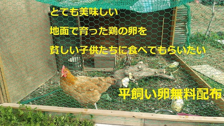 幸せの黄色いパラソルとコッコの卵運動（卵無料配布）