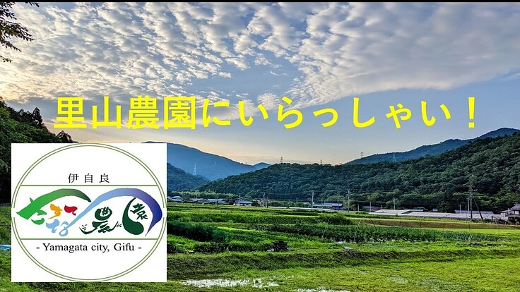 新規プロジェクト　里山農園へいらっしゃい!  伊自良さすてな農園