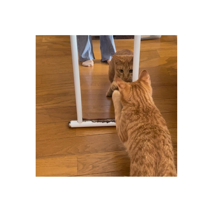 完治のお墨付きをいただきました！