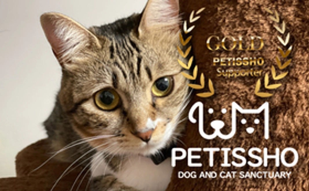 ペティッショ ゴールドサポーター