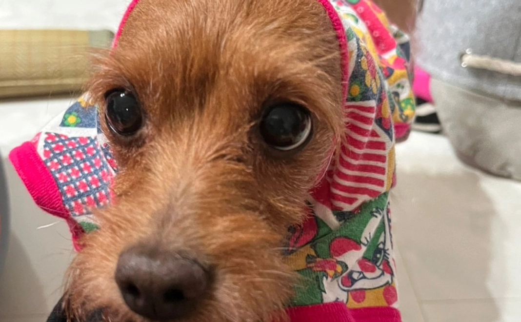 本当にありがとうございます！a