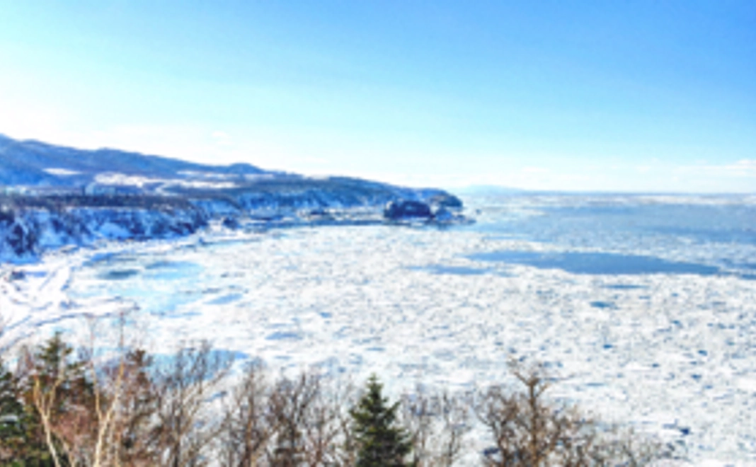 サンクスレター