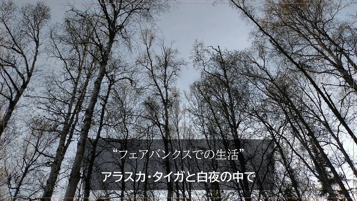 ”フェアバンクスでの生活”　アラスカ・タイガと白夜の中で