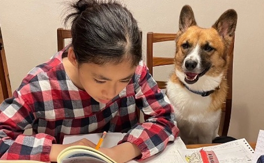 【リターン不要】新OHANAハウス開設応援コース｜1万円