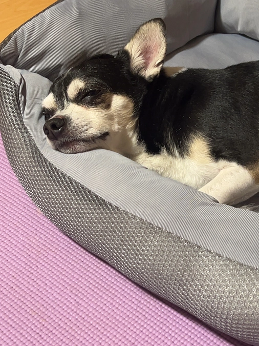 10月になりました🍁