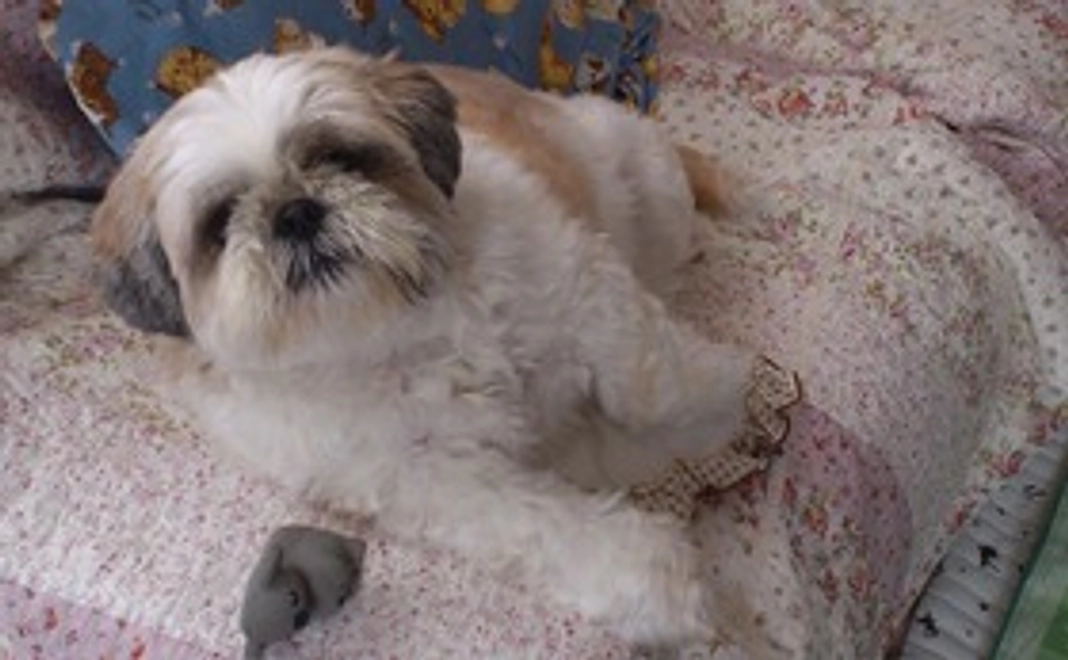 感謝の気持ちを込めて、お礼のメールをお送りさせていただきます。