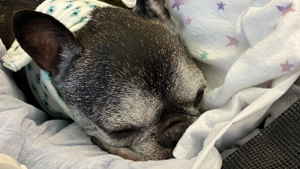 経過報告（締め切りまで残り8日）