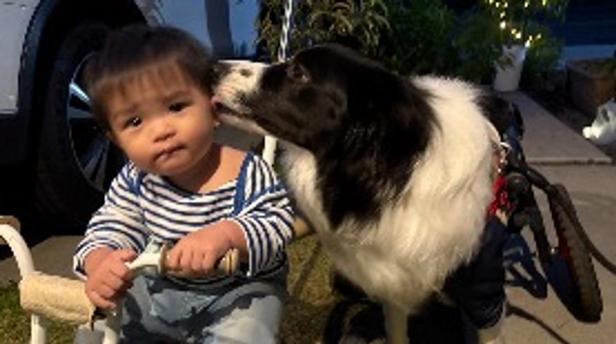 クラウドファンディング、終了しました！