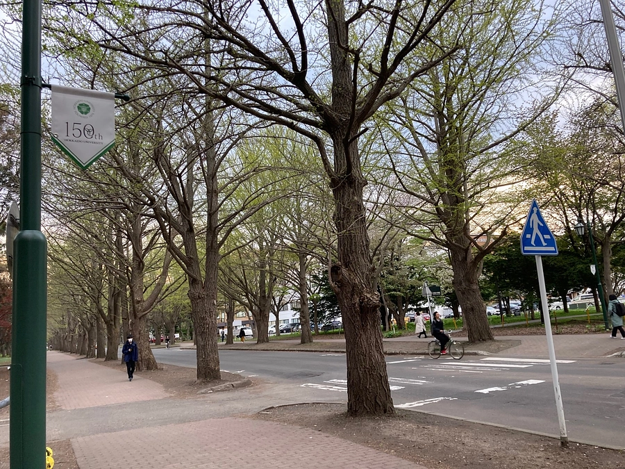 PMF～5月の風物詩②PMFの響き