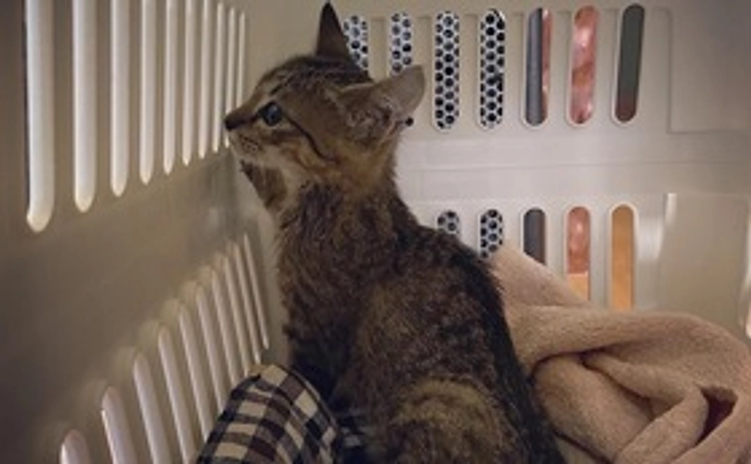 御支援ありがとうございます‼︎②